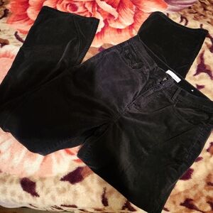 LOFT Black Boot Cut Pants